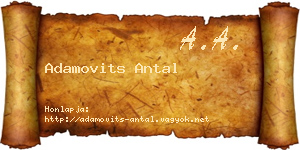 Adamovits Antal névjegykártya